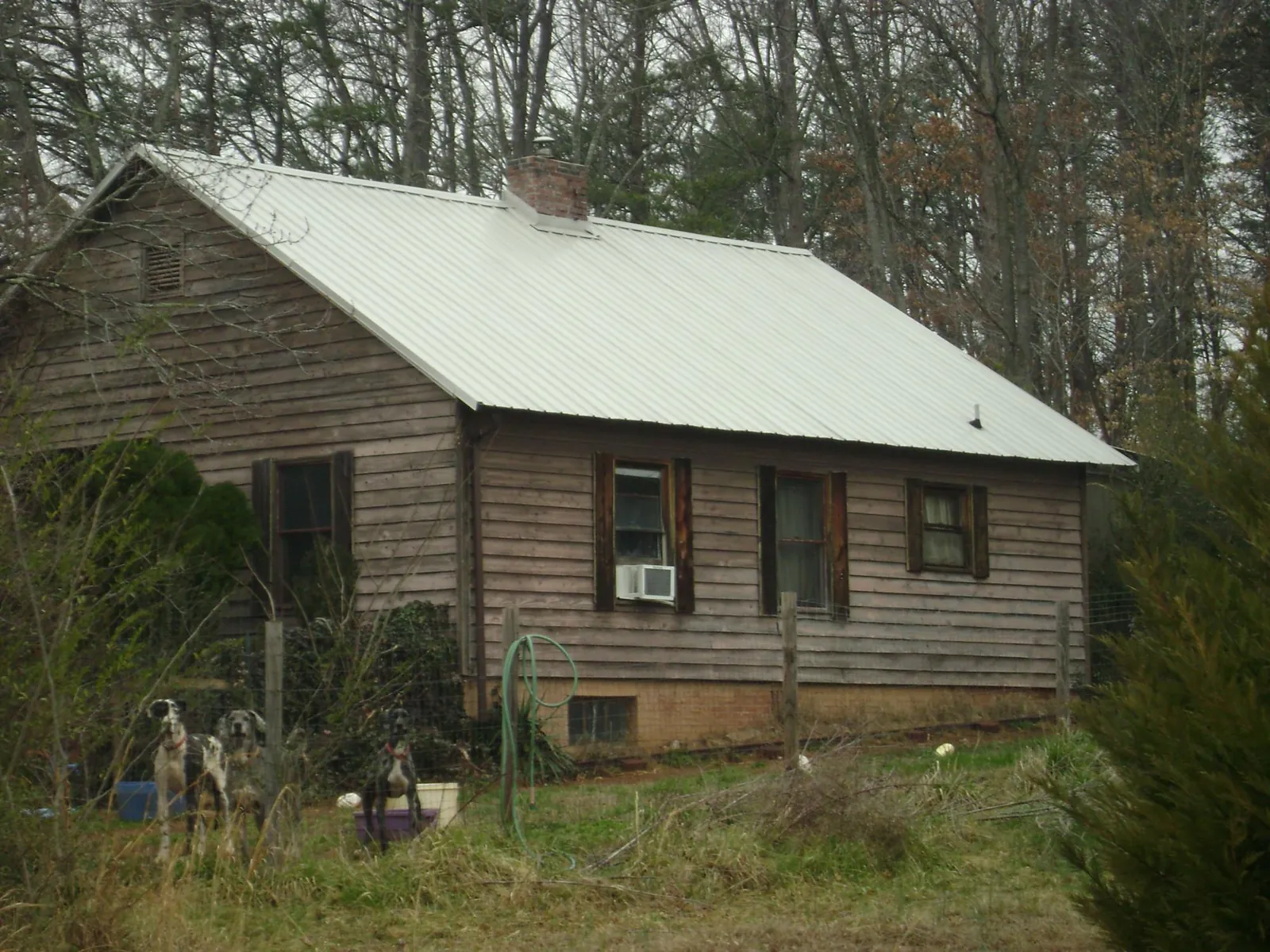 White metal roof on an old wood sided farmhouse, from a Asphalt Shingle Roof Repair job in College Springs